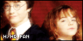 120x60 button